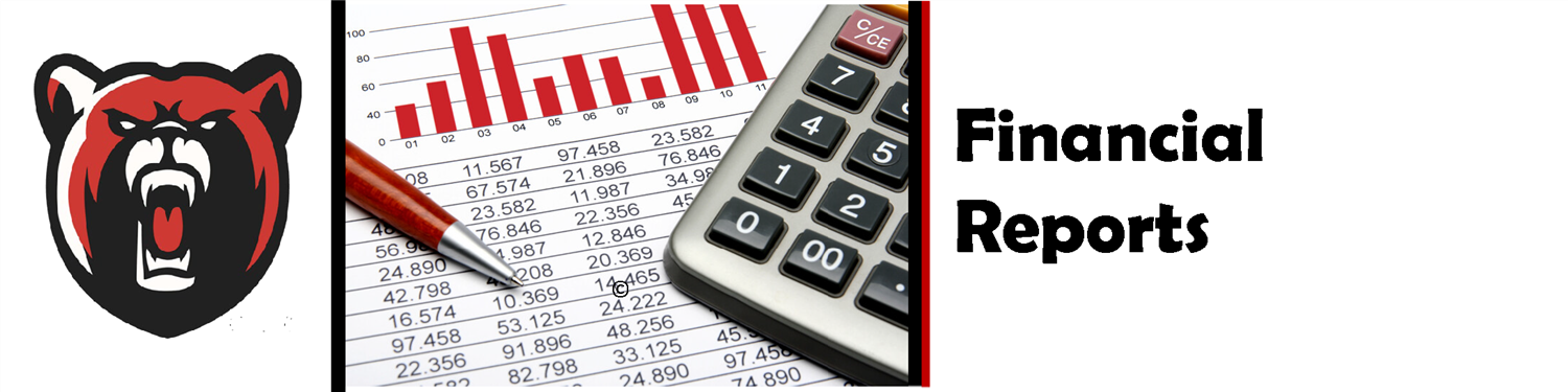 Financial Reports 